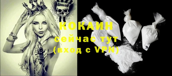 spice Аркадак