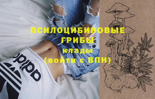 винт Балахна