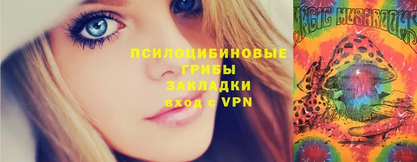 сатива Чекалин